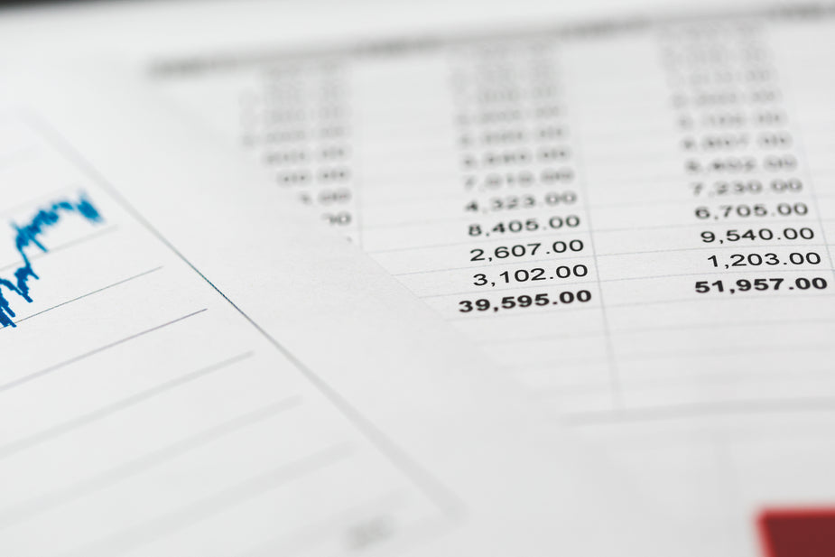 Qualified or Adverse Audit Action Plans